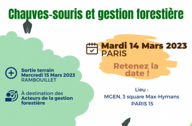 Colloque Chauves-souris et gestion forestière - Réservez le 14 mars 2023 dans vos agendas