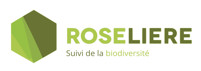 Roselière
