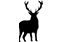 Mammifères (hors chiroptères)
