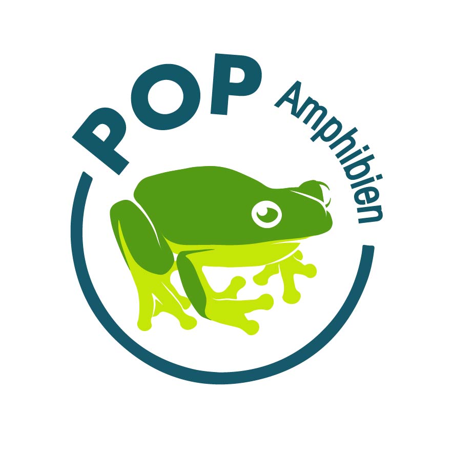 Logo POPAmphibien
