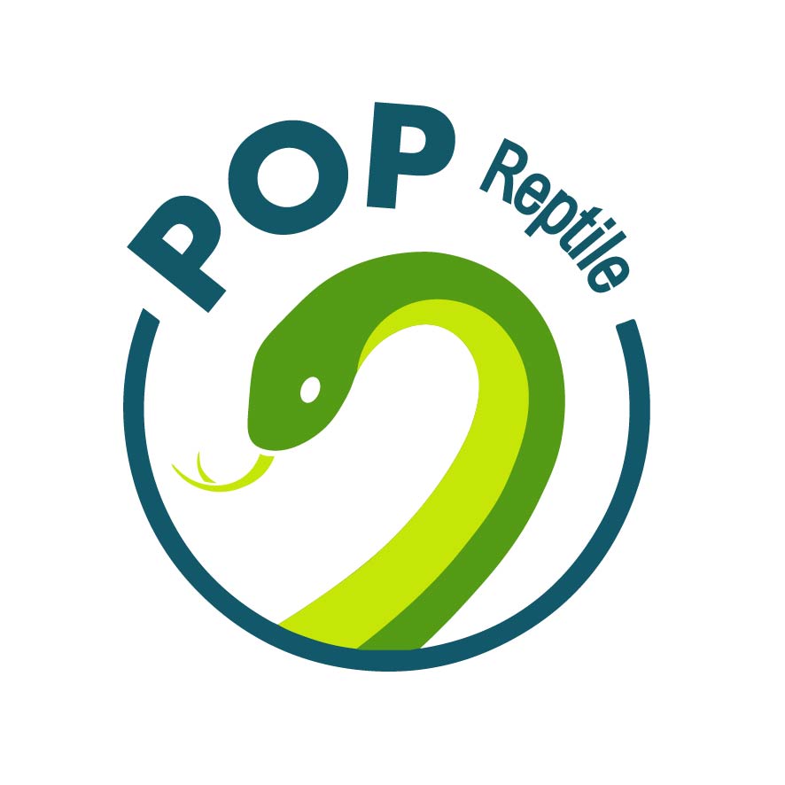 Logo POPReptile