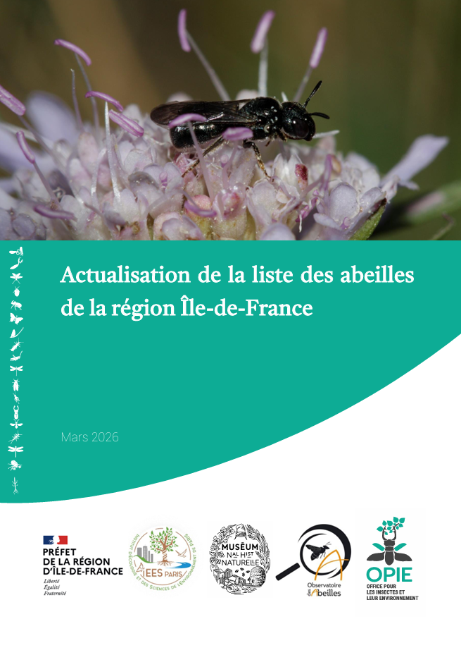 Couverture Actualisation Liste Abeilles sauvages îdF