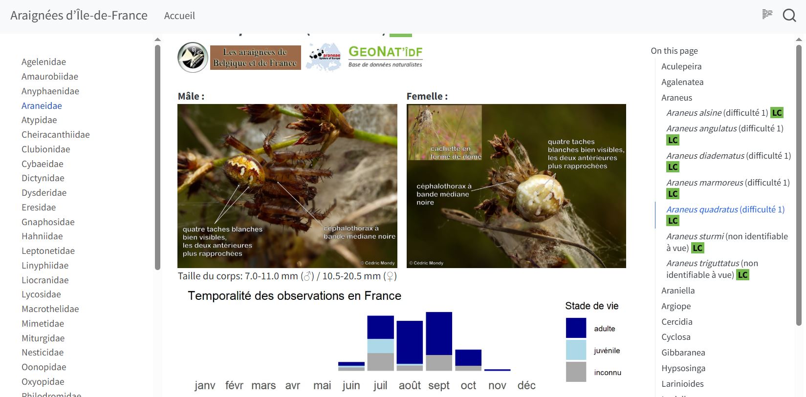 Capture écran du site Araignées d’Île-de-France