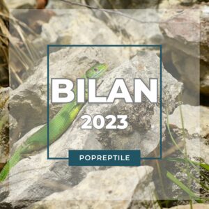 Bilans POPReptile