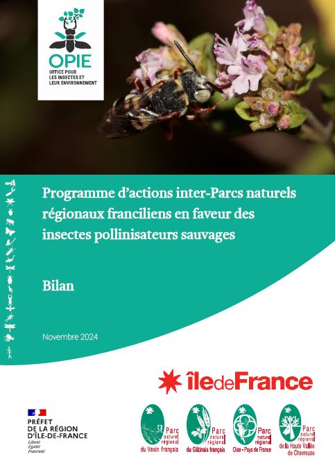 Couverture du Bilan du programme Abeilles sauvages interparcs