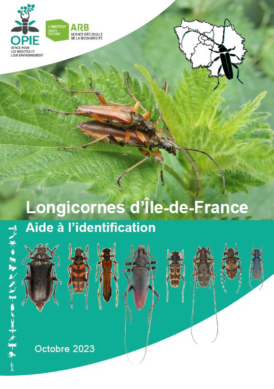 Cahier d'aide à l'identification des Longicornes d'Île-de-France