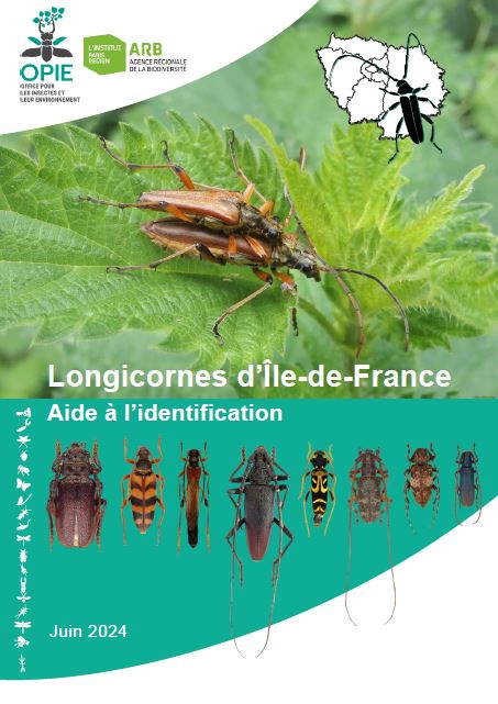Cahier d'aide à l'identification des Longicornes d'Île-de-France