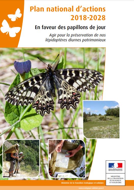 Couverture du Plan national d'actions en faveur des Papillons de jour