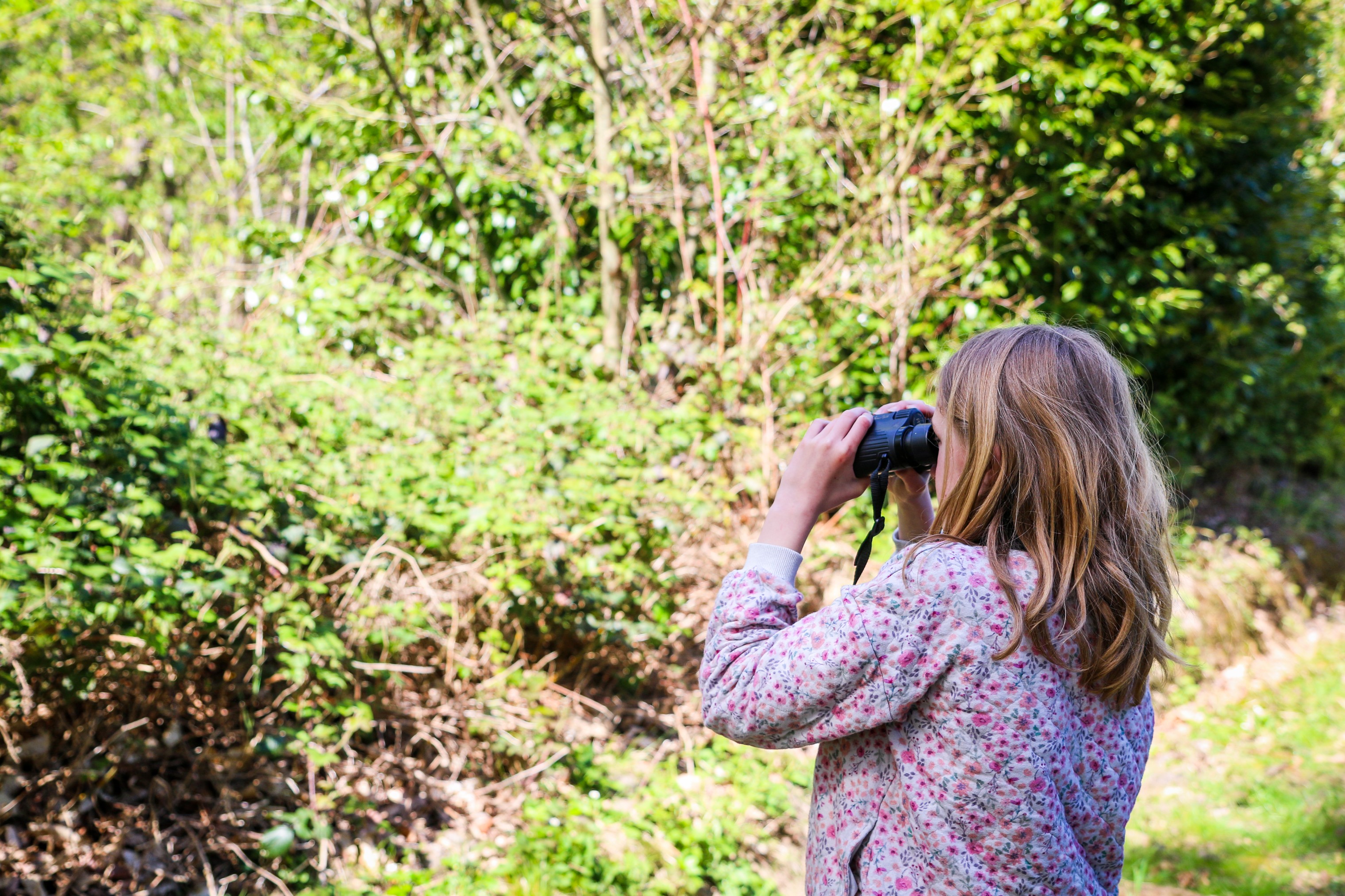 Observation des lisières aux jumelles © Ophélie RICCI