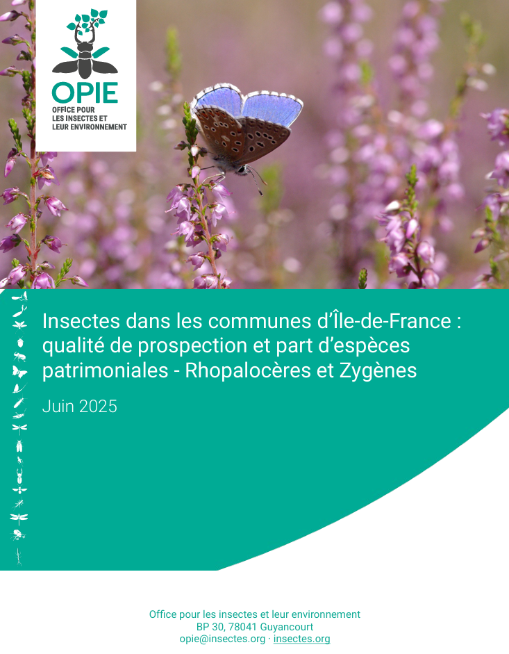 Couverture du rapport "Rhopalocères et Zygènes | Insectes dans les communes d’Île-de-France :  qualité de prospection et part d’espèces patrimoniales (2025)"
