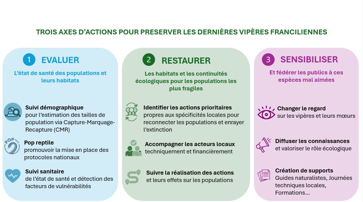 Axes d'actions du PRA Vipères