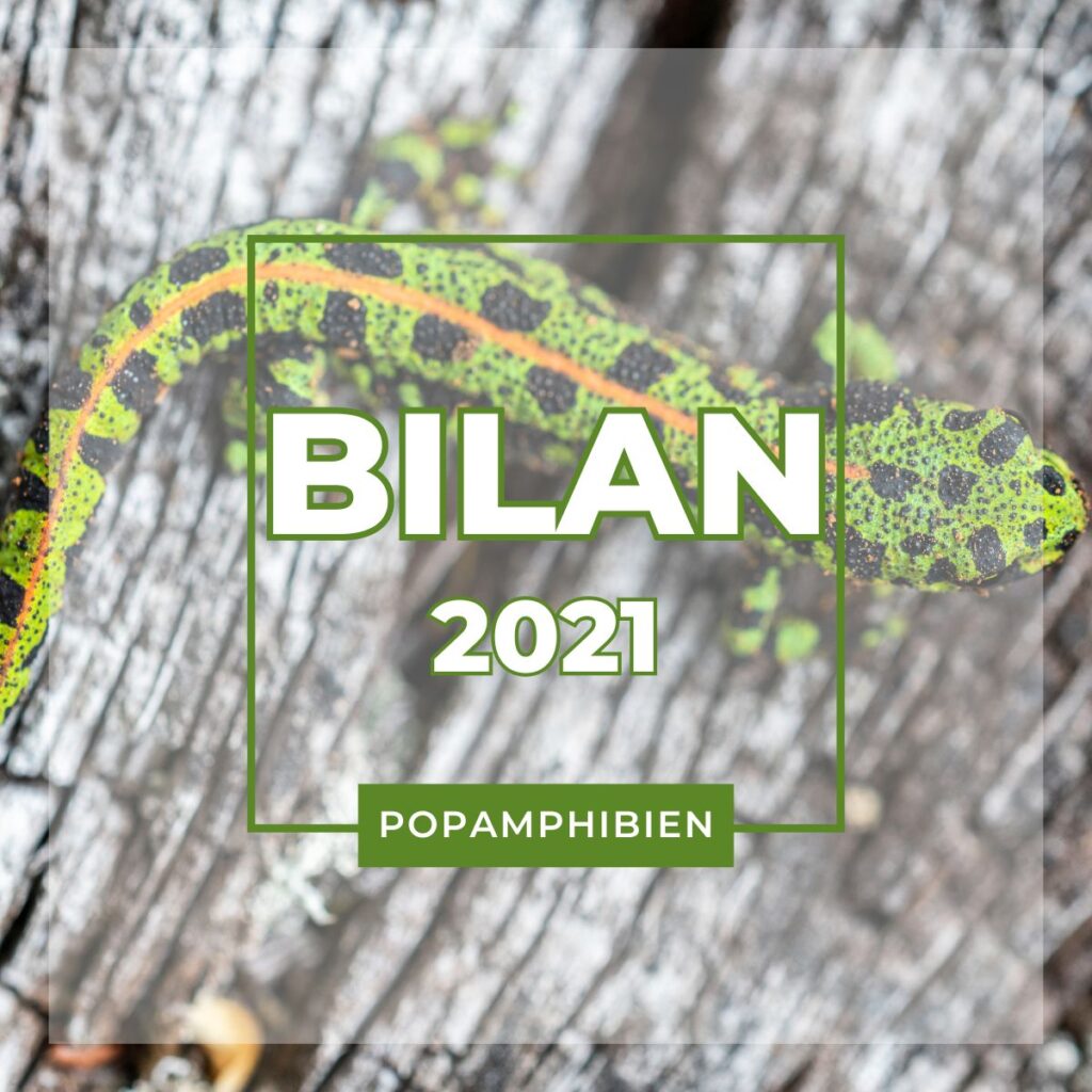 BilanPOPA2021