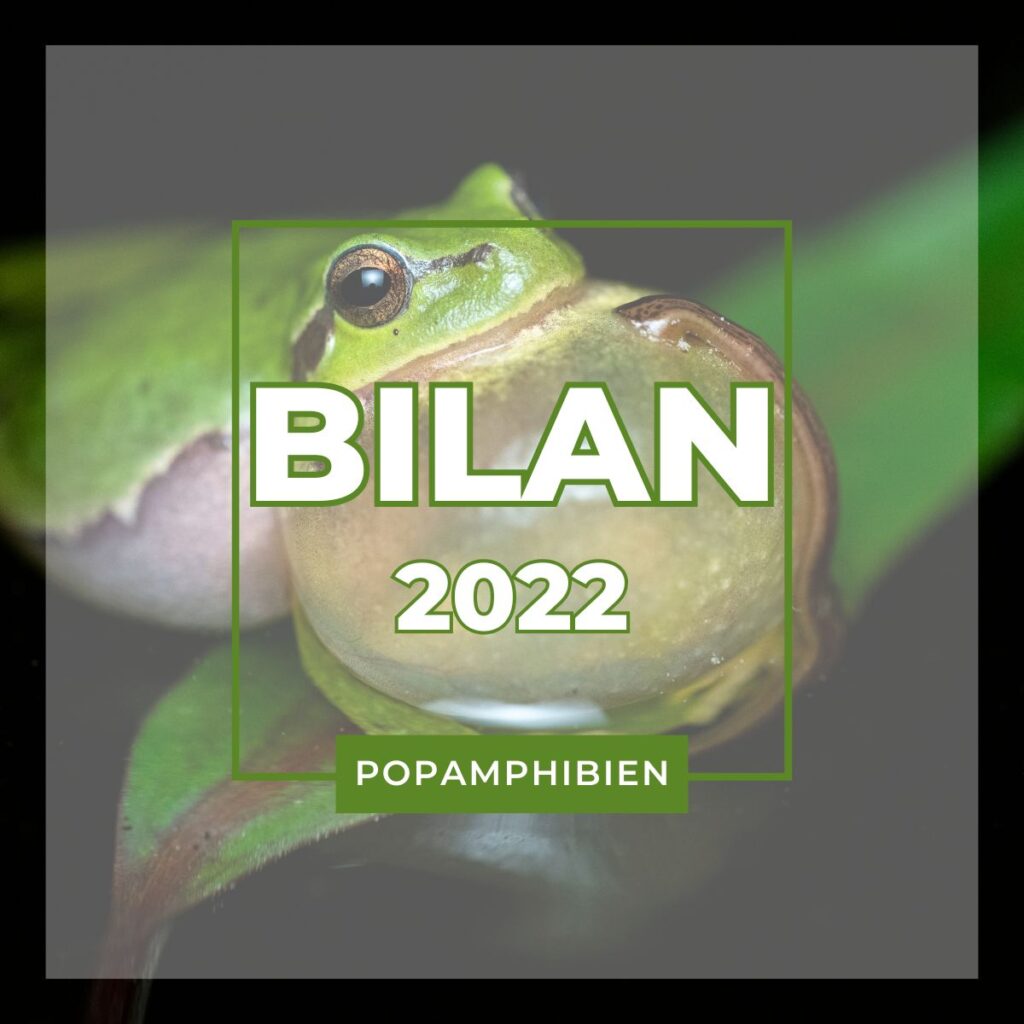 BilanPOPA2022