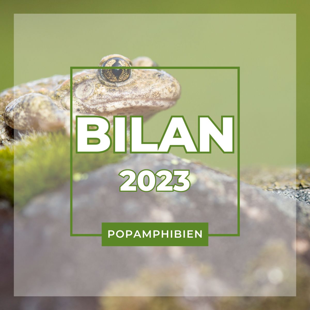 BilanPOPA2023