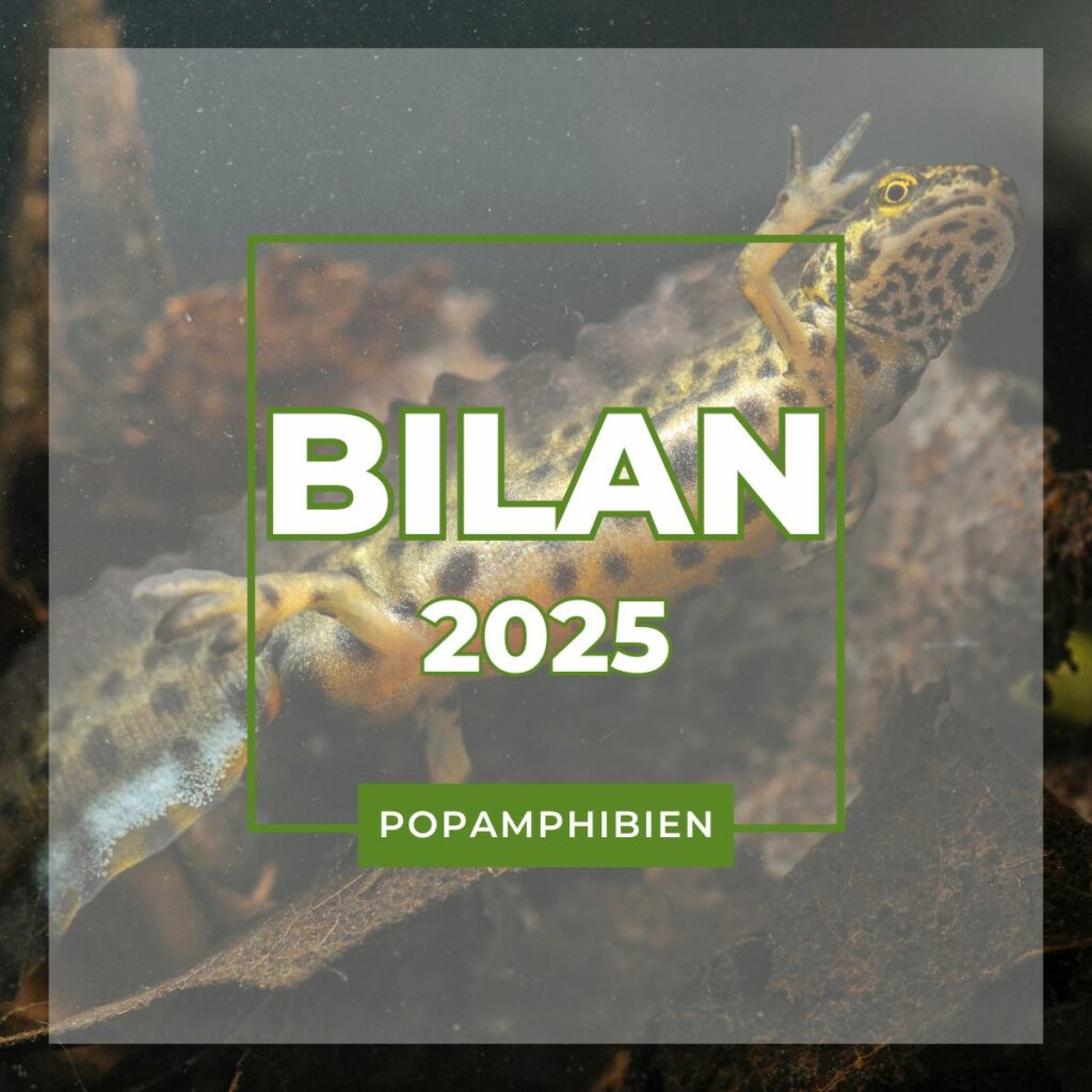 BilanPOPA2025