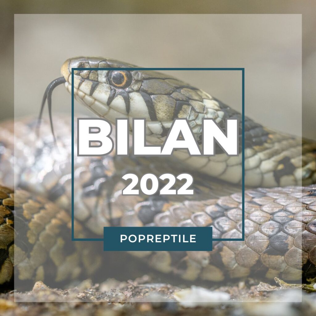 Bilan POPReptile2022