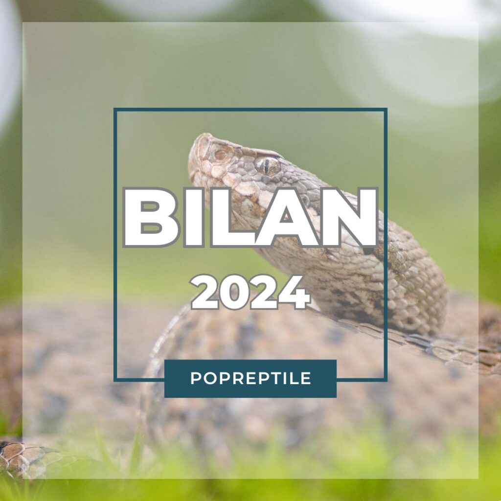 Bilan POPReptile2024