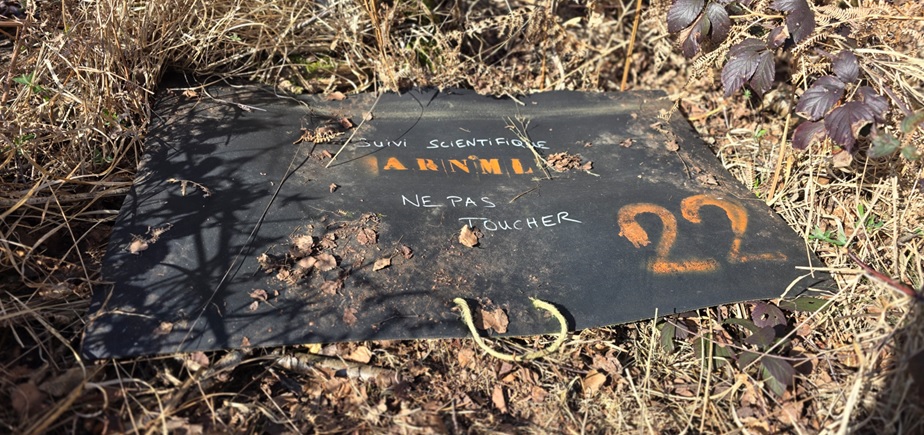 © Ophélie RICCI Les plaques ne servent...