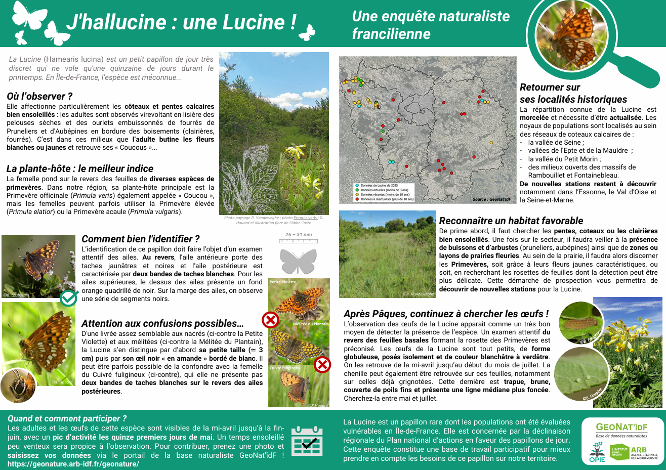Poster enquête Lucine 2026