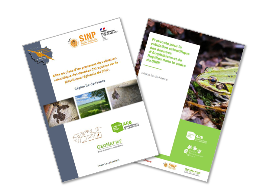 Protocoles Validation Chiroptères / Amphibiens / Reptiles