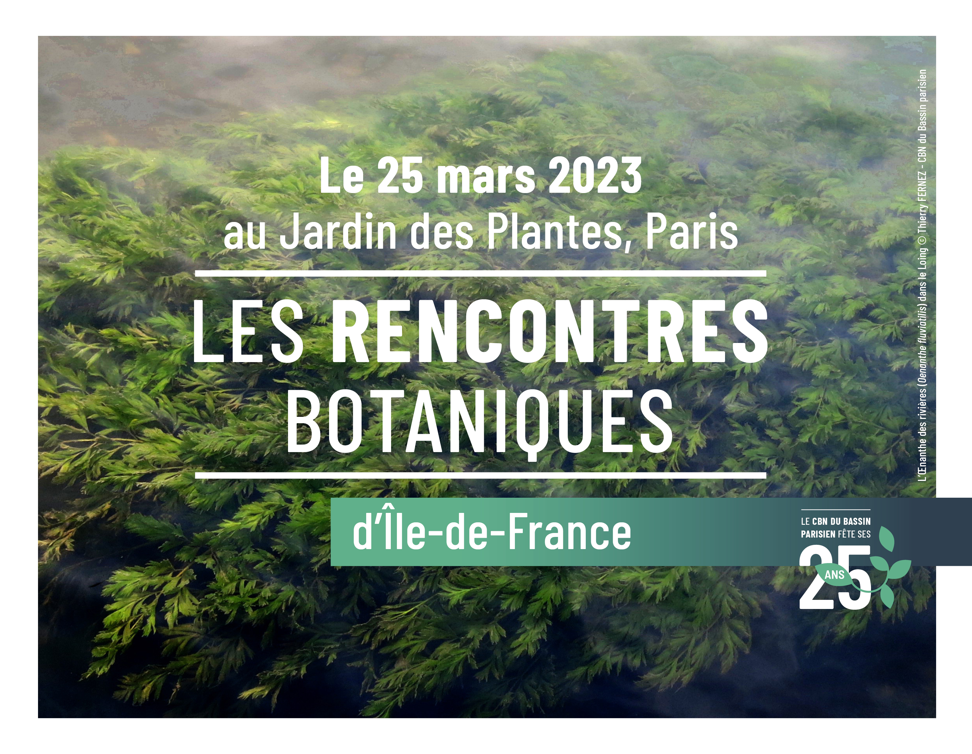 Rencontres botaniques d'Île-de-France	