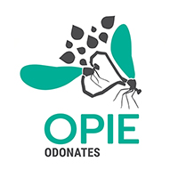 Pôle Opie Odonates