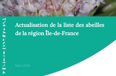 Actualisation de la Liste des Abeilles sauvages d'Île-de-France (2026)