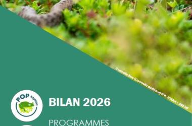 Bilan des protocoles POPAmphibien et POPReptile en Île-de-France (2026)