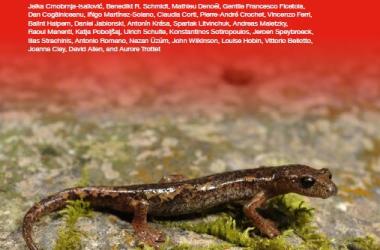 Liste rouge européenne des Amphibiens (2025)