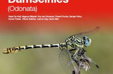 Liste rouge européenne des Odonates (2025)