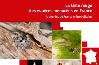 Araignées | Liste rouge nationale des espèces d'Araignées menacées en France métropolitaine (2023)