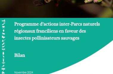 Résultats du programme d’actions inter-PNRs franciliens en faveur des insectes pollinisateurs sauvages