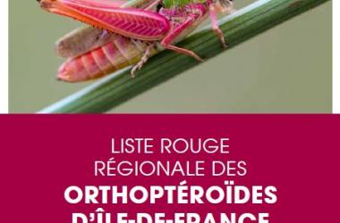 Orthoptères | Liste rouge régionale des Orthoptères, phasmes et mantes d'Île-de-France (2022)