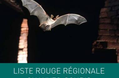 Chiroptères | Liste rouge régionale des Chauves-souris d'Île-de-France (2017)