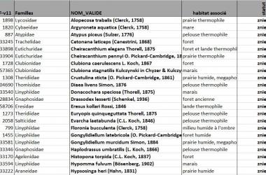 Liste des espèces d'Araignées déterminantes de ZNIEFF en Île-de-France