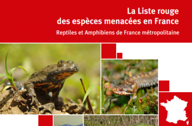 Amphibiens et Reptiles | Liste rouge des Reptiles et Amphibiens de France métropolitaines (2015)