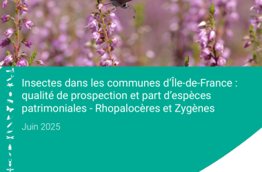 Rhopalocères et Zygènes | Insectes dans les communes d’Île-de-France (2025)