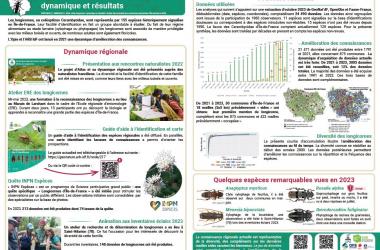 Atlas dynamique des Longicornes : dynamique et résultats (12/2023)