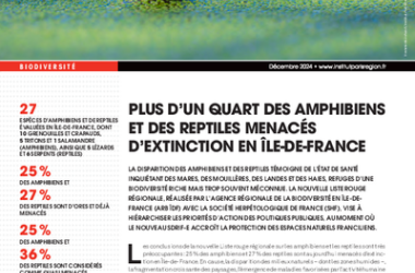 Note rapide : Plus d'un quart des amphibiens et des reptiles menacés d'extinction en Île-de-France (2024)