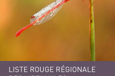 Odonates | Liste rouge régionale des libellules d'Île-de-France (2014)