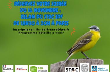 Deux rencontres ornithologiques à noter dans vos agendas !