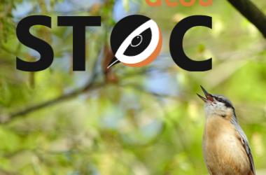 Lancement d'AcouSTOC