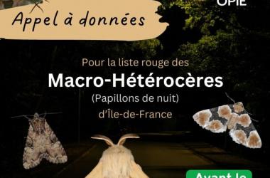 Appel à données Macro-Hétérocères avant analyse Liste rouge régionale