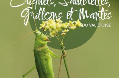 Atlas des Criquets, Sauterelles, Grillons et Mantes du Val-d'Oise (95)