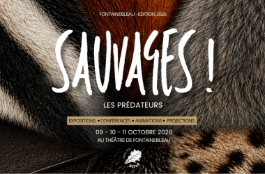 Sauvages ! Un évènement immersif consacré aux mammifères prédateurs présents sur le territoire français