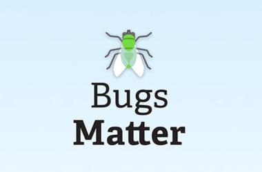 Bugs matter : un nouveau programme de sciences participatives pour mesurer le déclin des insectes volants