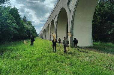 Lancement des pré-inscriptions pour l'École régionale d'entomologie 2026