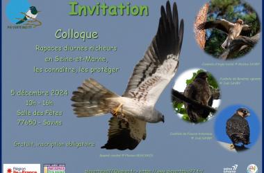 Replay Colloque sur les Rapaces diurnes nicheurs en Seine-et-Marne