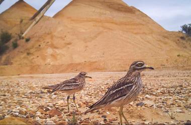 Inscription 17e édition des Rencontres naturalistes d'Île-de-France