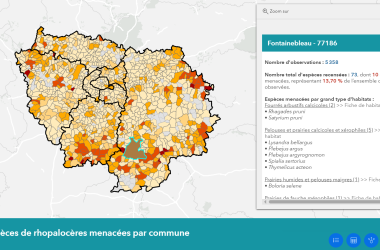 Papillons de jour | Les cartes communales espèces menacées et qualité de prospection mises à jour !